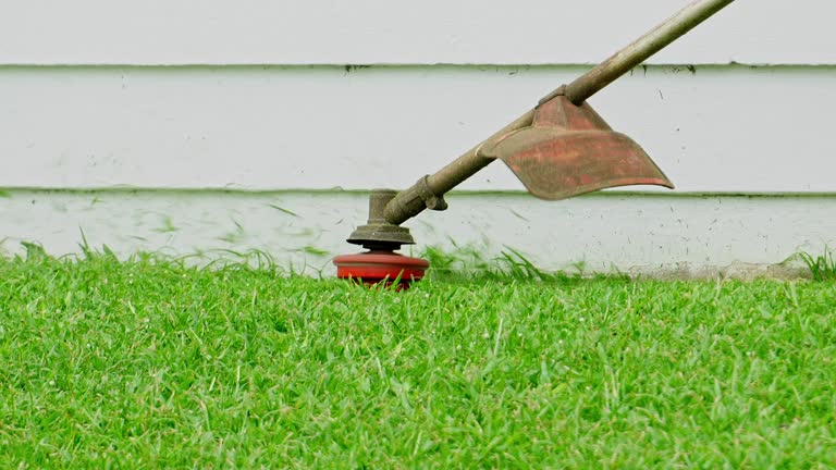 Best Artificial Turf Installation  in Fest Grove, OR